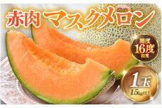 【先行予約】赤肉パリスメロン 秀品 1玉（1.5kg以上）【アールス系赤肉メロン】《糖度16度程度！1株1果採りで育てる高級メロン！》／ 果物 フルーツ 農家直送 赤肉 マスクメロン アールスメロン ギフト 贈答用 ※2026年7月上旬より順次発送予定 [aw028-a005]