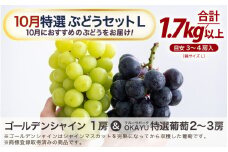 【先行予約】【訳あり】10月特選 ぶどうセットL 1.7kg以上（3～4房）／ 葡萄 シャインマスカット 完熟 ゴールデン シャイン 品種 おまかせ あわら 農家おすすめ ※2025年10月より順次発送 [aw007-b001]