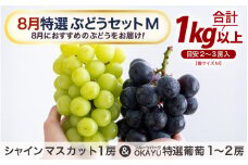【先行予約】8月特選 ぶどうセットM　1kg以上（2～3房）／ 葡萄 シャインマスカット シャイン 品種 おまかせ あわら 農家おすすめ ※2025年8月より順次発送 [aw007-a003]