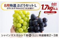 【先行予約】8月特選 ぶどうセットL 1.7kg以上（3～4房）／ 葡萄 シャインマスカット シャイン 品種 おまかせ あわら 農家おすすめ ※2025年8月より順次発送 [aw007-b002]