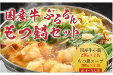 ぷるるんもつ鍋セット（約4～5人前）越前のホルモン屋 国産牛 ／ 価格下げました！ 味噌 モツ鍋 小腸 ホルモン 鍋 国産 国産牛 牛ホルモン おつまみ 冷凍 人気 やみつき キャンプ アウトドア [aw001-a005]