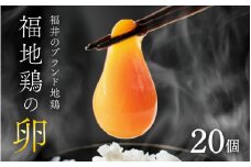 濃厚で甘くておいしい！ 福井ブランド「福地鶏」の卵 20個 ／ 卵 たまご 鶏卵 生卵 有精卵 高級 高級卵 福地鶏 鶏 平飼い 美味しい こだわり 卵かけご飯 料理 あわら市 福井県産 [aw036-a003]