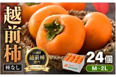【先行予約】 越前柿 24個入 約4kg（M～2L）≪JA受賞歴親子２代≫ ／ 果物 フルーツ 柿 産地直送 期間限定 ※2025年11月上旬より順次発送 [aw061-a001]