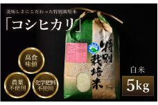 【先行予約】【令和7年産 新米】コシヒカリ 精米 5kg 特別栽培米 農薬不使用 化学肥料不使用 ／ 残留農薬ゼロ 高品質 鮮度抜群 福井県産 ブランド米 白米 ※2025年9月下旬より順次発送予定 [aw063-a005]