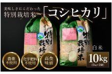 【先行予約】【令和7年産 新米】コシヒカリ 精米 5kg×2袋（計10kg） 特別栽培米 農薬不使用 化学肥料不使用 ／ 残留農薬ゼロ 高品質 鮮度抜群 福井県産 ブランド米 白米 ※2025年9月下旬より順次発送予定 [aw063-b003]