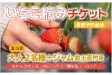 大人気いちごハウス 農楽里（のらり）いちご摘みチケット（大人2名様分）／ 体験 食育 果物 いちご狩り 大賞 受賞 [aw012-a006]