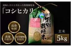 【先行予約】【令和7年産 新米】コシヒカリ 玄米 5kg 特別栽培米 農薬不使用 化学肥料不使用 ／ 残留農薬ゼロ 高品質 鮮度抜群 福井県産 ブランド米 ※2025年9月下旬より順次発送予定 [aw063-a006]