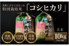 【先行予約】【令和7年産 新米】コシヒカリ 玄米 5kg×2袋（計10kg） 特別栽培米 農薬不使用 化学肥料不使用 ／ 残留農薬ゼロ 高品質 鮮度抜群 福井県産 ブランド米 ※2025年9月下旬より順次発送予定 [aw063-b004]