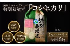 【先行予約】【令和7年産 新米】《定期便3回》コシヒカリ 精米 5kg （計15kg）特別栽培米 農薬不使用 化学肥料不使用 ／ 残留農薬ゼロ 高品質 鮮度抜群 福井県産 ブランド米 白米 ※2025年10月上旬より順次発送予定 [aw063-d002]
