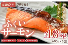 ＼レビューキャンペーン実施中！／ 《定期便3回》ふくいサーモン 切り身 100g×6切 計600g ＜鮮度抜群！真空冷凍＞ ／ 生食OK 刺身 焼き魚 鮭 国産 [aw002-f002]