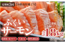 《定期便3回》ふくいサーモン 柵どり 150g×4パック 計600g ＜鮮度抜群！真空冷凍＞ ／ 生食OK 刺身 鮭 国産 [aw002-f003]
