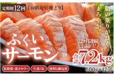 《定期便12回》ふくいサーモン 柵どり 150g×4パック 計600g ＜鮮度抜群！真空冷凍＞ ／ 生食OK 刺身 鮭 国産 [aw002-o001]