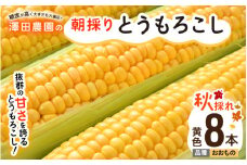 【先行予約】秋とうもろこし 8本 おおもの 黄色 朝採り ／ 期間限定 数量限定 ハウス栽培 産地直送 甘い スイートコーン とうもろこし 野菜 あわら ※2025年10月10日より順次発送 [aw039-a011]