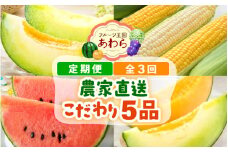 【先行予約】≪定期便/全3回≫フルーツ王国あわらのこだわり5品 農家直送 厳選品／ 期間限定 果物 フルーツ 青肉メロン 赤肉メロン 西瓜 とうもろこし 産地直送 ※2026年6月中旬より順次発送 [aw039-c001]