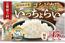 【先行予約】【令和7年産・新米】【一等米】《定期便3回》特別栽培米 いっちょらい 精米 5kg × 3回（計15kg）／ 福井県産 ブランド米 コシヒカリ ご飯 白米 新鮮 大賞 受賞 【2025年10月上旬より順次発送予定】 [aw012-d006]