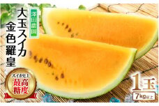 【先行予約】大玉スイカ『金色羅皇』（7kg以上 1玉入） スイカ史上 最高糖度！  / 期間限定 果物 フルーツ 産地直送 すいか 人気 高糖度 ※2026年6月中旬より順次発送 [aw039-a010]