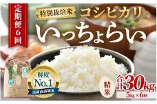 【先行予約】【令和7年産・新米】【一等米】《定期便6回》特別栽培米 いっちょらい 精米 5kg × 6回（計30kg）／ 福井県産 ブランド米 コシヒカリ ご飯 白米 新鮮 大賞 受賞 【2025年10月上旬より順次発送予定】 [aw012-h005]