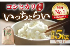 【先行予約】【令和7年産・新米】【一等米】いっちょらい 精米 5kg ／ 福井県産 ブランド米 ご飯 白米 お米 コメ 新鮮 大賞 受賞 新米 福井県あわら産 【2025年9月下旬より順次発送予定】 [aw012-a020]