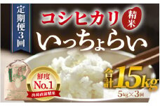 【先行予約】【令和7年産・新米】【一等米】《定期便3回》いっちょらい 精米 5kg × 3回（計15kg）／ 福井県産 ブランド米 コシヒカリ ご飯 白米 新鮮 大賞 受賞 新米 福井県あわら産 【2025年10月上旬より順次発送予定】 [aw012-c005]