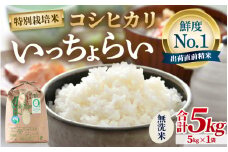 【先行予約】【令和7年産・新米】【一等米】特別栽培米 いっちょらい 無洗米 5kg ／ 福井県産 ブランド米 コシヒカリ ご飯 白米 新鮮 大賞 受賞 【2025年9月下旬より順次発送予定】 [aw012-a023]