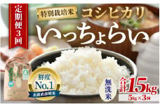 【先行予約】【令和7年産・新米】【一等米】《定期便3回》特別栽培米 いっちょらい 無洗米 5kg × 3回（計15kg）／ 福井県産 ブランド米 コシヒカリ ご飯 白米 新鮮 大賞 受賞 【2025年10月上旬より順次発送予定】 [aw012-d007]