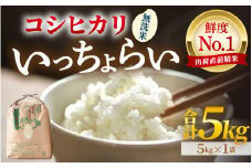 【先行予約】【令和7年産・新米】【一等米】いっちょらい 無洗米 5kg ／ 福井県産 ブランド米 コシヒカリ ご飯 白米 新鮮 大賞 受賞 【2025年9月下旬より順次発送予定】 [aw012-a021]
