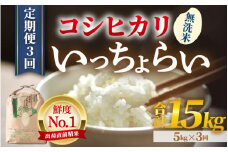 【先行予約】【令和7年産・新米】【一等米】《定期便3回》いっちょらい 無洗米 5kg × 3回（計15kg）／ 福井県産 ブランド米 コシヒカリ ご飯 白米 新鮮 大賞 受賞 【2025年10月上旬より順次発送予定】 [aw012-d005]