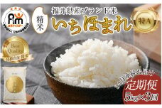 【令和6年産 新米】定期便3回 いちほまれ 精米 5kg×3回（計15kg）《お米マイスターが発送直前に精米！》／ 福井県産 ブランド米 ご飯 白米 新鮮 [aw064-d004]