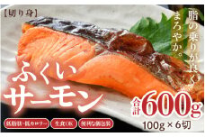 ふくいサーモン 切り身 100g×6切 計600g ＜鮮度抜群！アレンジ自在！真空冷凍＞ ／ 生食OK 刺身 焼き魚 鮭 国産 [aw002-b003]
