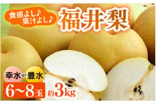 【先行予約】福井梨 3kg 6～8玉入 《幸水梨 豊水梨どちらかのお届け！》 ／ 期間限定 果物 フルーツ 産地直送 旬 お取り寄せ ※2025年8月中旬以降発送 [aw003-a009]
