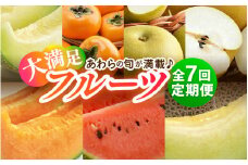 【先行予約】《全7回》あわら大満足 7種 フルーツ定期便 《あわらの旬が満載！》／ 果物 旬 食べ比べ 贈り物 定期便 マルセイユ アンデス アールス 大玉スイカ 梨 柿 ※2025年6月中旬以降順次発送 [aw003-j001]