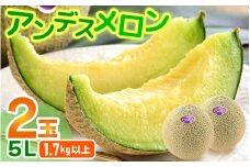 【先行予約】アンデスメロン 2玉入 5L（1.7kg以上×2玉）高糖度で抜群の美味しさお届け！／ 果物 フルーツ 産地直送 ※2026年6月下旬以降発送 [aw067-a004]