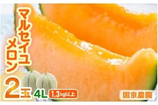  【先行予約】マルセイユメロン 2玉入 4L（1.3kg以上×2玉）高糖度で抜群に美味しい赤肉メロン ／ 果物 フルーツ 産地直送 ※2026年6月上旬以降発送 [aw067-a005]
