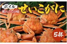 【先行予約】ボイルせいこがに 5杯 《 獲れたての味！》 ／期間限定 茹で ボイル 冷蔵 蟹 カニ 福井県 あわら市 海鮮 冬 旬 ※2025年11月中旬～2025年12月下旬の間で順次発送 [aw002-x001]