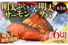 明太ふくいサーモン・明太サバセット 計6切 《脂の乗ったふくいサーモンやサバと明太子の相性抜群！ピリ辛でビールやご飯のおかずにぴったり！》 ／ 焼き魚 お子様OK お父さん おつまみ 朝食 弁当 骨なし 明太子 魚介類 個包装 お取り寄せ 人気 数量限定 [aw002-a007]
