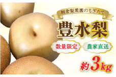 【先行予約】《数量限定》豊水梨 7～8玉入 約3kg もぎたて 新鮮 ※2025年9月上旬より順次発送予定 [aw042-a003]