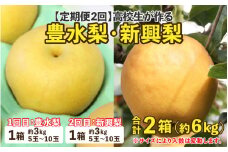 ＜定期便2回＞高校生が作る豊水梨 新興梨 セット《大人気返礼品が定期便になりました！応援！》 ／ 果物 フルーツ 梨 数量限定 [aw049-a001]