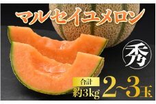 【先行予約】佐藤農園のマルセイユメロン 約3kg前後《秀品》(2～3玉入）深みのある甘さ とろける濃厚な赤肉！農家直送 有機肥料 低農薬 ※2026年6月上旬より順次発送予定 [aw069-a002]