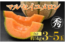 【先行予約】佐藤農園のマルセイユメロン 約5kg 秀品（3～5玉入）深みのある甘さ とろける濃厚な赤肉！農家直送 有機肥料 低農薬 ※2026年6月上旬より順次発送予定 [aw069-a003]