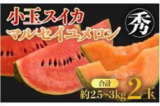 【先行予約】佐藤農園の小玉スイカ・マルセイユメロン セット 計2玉（約2.5kg～3kg） 秀品 農家直送 有機肥料 低農薬 ※2026年6月上旬より順次発送 [aw069-a004]