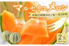 【先行予約】マルセイユメロン 2玉 約2.4kg（約1.2kg以上×2玉）大人気の赤肉品種！高級メロンの味わい ／ 果物 フルーツ ギフト 農家直送 ※2026年6月上旬以降順次発送 [aw065-a005]