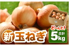 【先行予約】2025年6月発送 採れたて 新玉ねぎ 5kg（サイズ S M L ミックス）田んぼで育てた甘くて柔らか自慢の玉ねぎ！／ 野菜 万能 料理 常備 玉葱 BBQ たまねぎ 玉ネギ 甘い [aw056-a019]