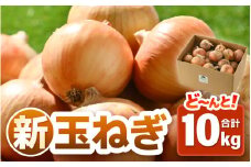 【先行予約】2025年6月発送  採れたて 新玉ねぎ 10kg（サイズ S M L ミックス）田んぼで育てた甘くて柔らか自慢の玉ねぎ！／ 常備 野菜 玉葱 たまねぎ 玉ネギ 甘い [aw056-a020]