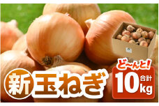 【先行予約】採れたて 新玉ねぎ 10kg（サイズ S M L ミックス）田んぼで育てた甘くて柔らか自慢の玉ねぎ！／ 常備 野菜 玉葱 たまねぎ 玉ネギ 甘い ※2026年6月以降順次発送予定 [aw056-a020]