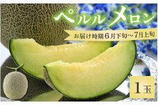 【先行予約】ペルルメロン 1玉（約2kg以上）青肉品種 高級メロン！ ／ マスクメロン 大玉 果物 フルーツ ギフト 農家直送 ※2026年6月下旬以降順次発送 [aw065-a006]