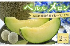 【先行予約】ペルルメロン 2玉（約2kg以上×2玉）青肉品種 高級メロン！ ／ マスクメロン 大玉 果物 フルーツ ギフト 農家直送 ※2026年6月下旬以降順次発送 [aw065-a007]