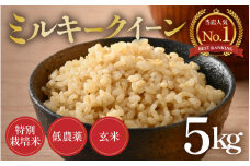 【先行予約】【令和7年産 新米】ミルキークイーン 玄米 5kg  特別栽培米 低農薬 《食味値85点以上！こだわり無洗米》 / 福井県 あわら市 北陸 米 お米 人気 ※2025年9月上旬より順次発送 [aw032-a007]