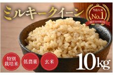 【先行予約】【令和7年産 新米】ミルキークイーン 玄米 10kg 特別栽培米 低農薬 《食味値85点以上！こだわり無洗米》 / 福井県 あわら市 北陸 米 お米 人気 ※2025年9月上旬より順次発送 [aw032-b006]