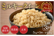 【先行予約】【令和7年産 新米】《定期便》5kg×3回 15kg 特別栽培米 ミルキークイーン 玄米 低農薬 《食味値85点以上！こだわり玄米》 / 福井県 あわら 北陸 米 お米 人気 ※2025年9月上旬より順次発送 [aw032-c003]