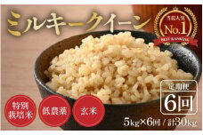 【先行予約】【令和7年産 新米】《定期便6回》5kg×6回 30kg 特別栽培米 ミルキークイーン 玄米 低農薬《食味値85点以上！こだわり無洗米》 / 福井県 あわら市 北陸 米 お米 人気 ※2025年9月中旬より順次発送 [aw032-g003]